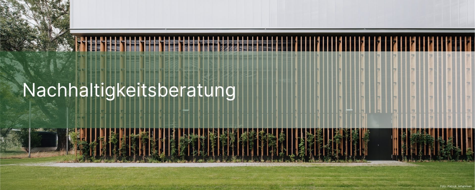 Dein Abschnittstext1